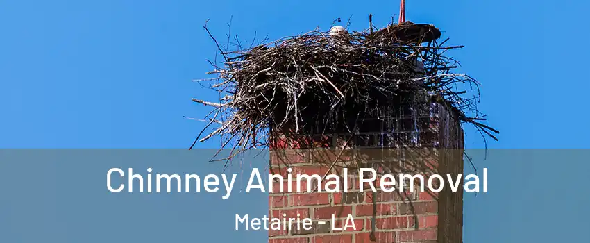 Chimney Animal Removal Metairie - LA