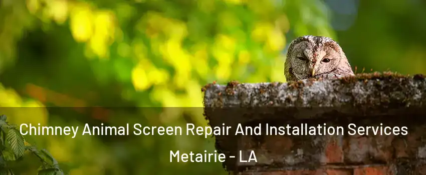 Chimney Animal Screen Repair And Installation Services Metairie - LA